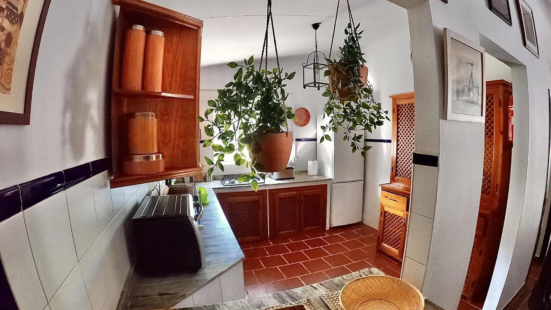 Holiday home La Blanca De Aroche Villa