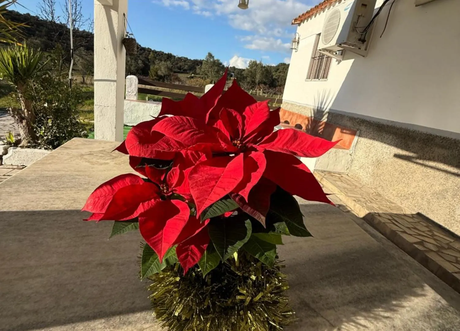 La Blanca De Aroche Villa Spain